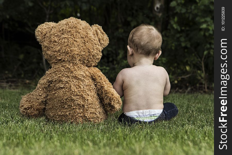 Child, Grass, Teddy Bear, Toddler