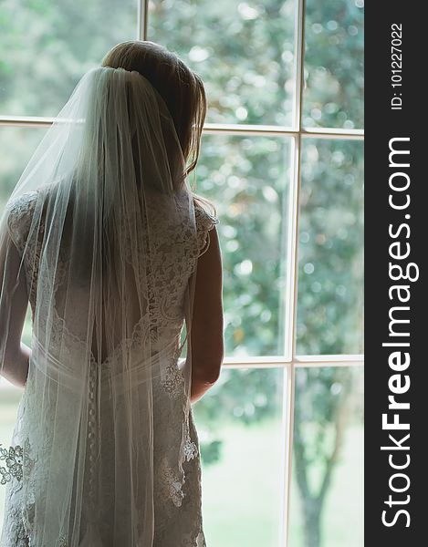 Hair, Bridal Veil, Bridal Accessory, Gown