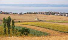 Pretty Village On The Coast And Yellow Fields Stock Images Pretty Village On The Coast And Yellow Fields Stock Images