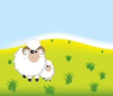 Big Sheep And Small Sheep Royalty Free Stock Photo Big Sheep And Small Sheep Royalty Free Stock Photo