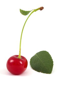 Cherry Isolated Royalty Free Stock Image Cherry Isolated Royalty Free Stock Image