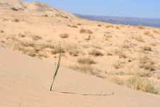 Kelso Sand Dunes, Mojave Desert, California Stock Photography