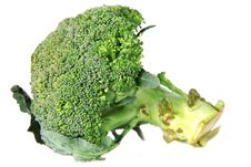 Green Broccoli Stock Images Green Broccoli Stock Images