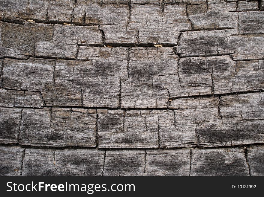 A close-up of surface of very old dry tree with many clefts. A close-up of surface of very old dry tree with many clefts.