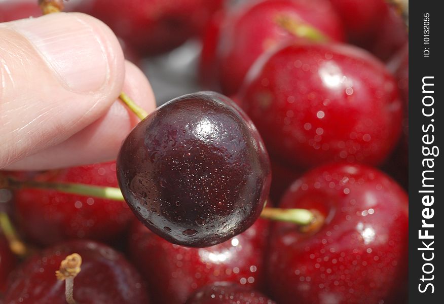 Close-up of male fingers holding ripe cherry