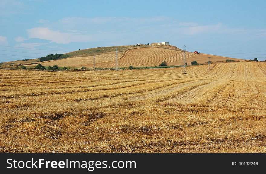 Harvested golden wheat fields on a hill with a farm house and a red combine harvester under blue sky with white clouds. Harvested golden wheat fields on a hill with a farm house and a red combine harvester under blue sky with white clouds