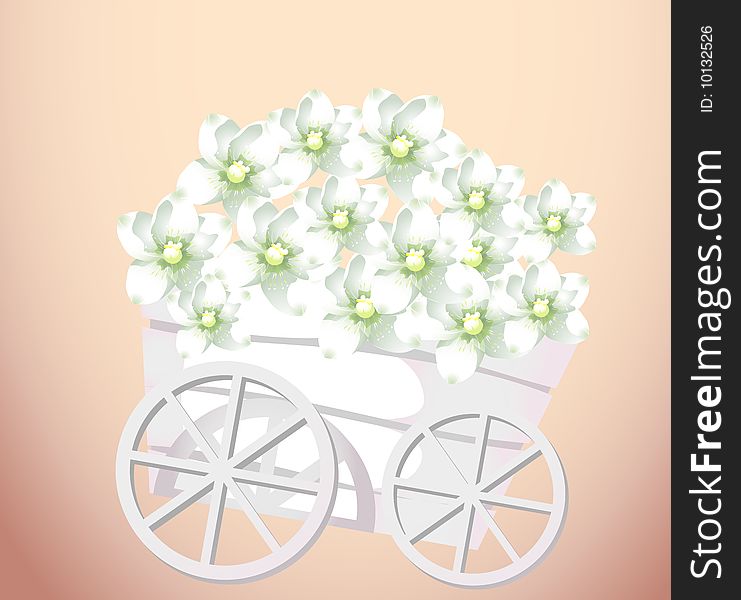 Pushcart 	loaded with a group of white flower. Pushcart 	loaded with a group of white flower