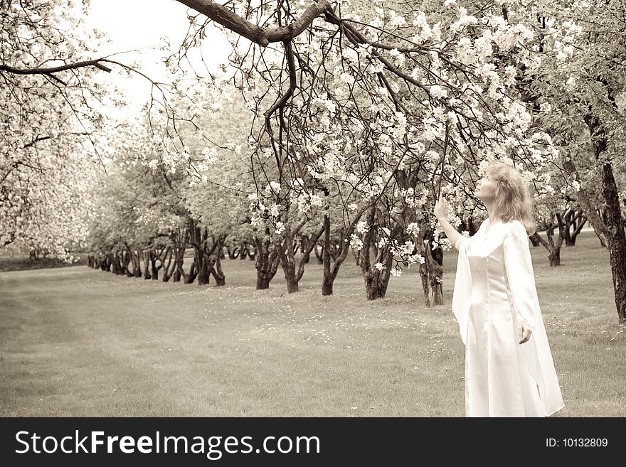 Tne blonde girl in white dress and apple-tree with white flowers. Tne blonde girl in white dress and apple-tree with white flowers