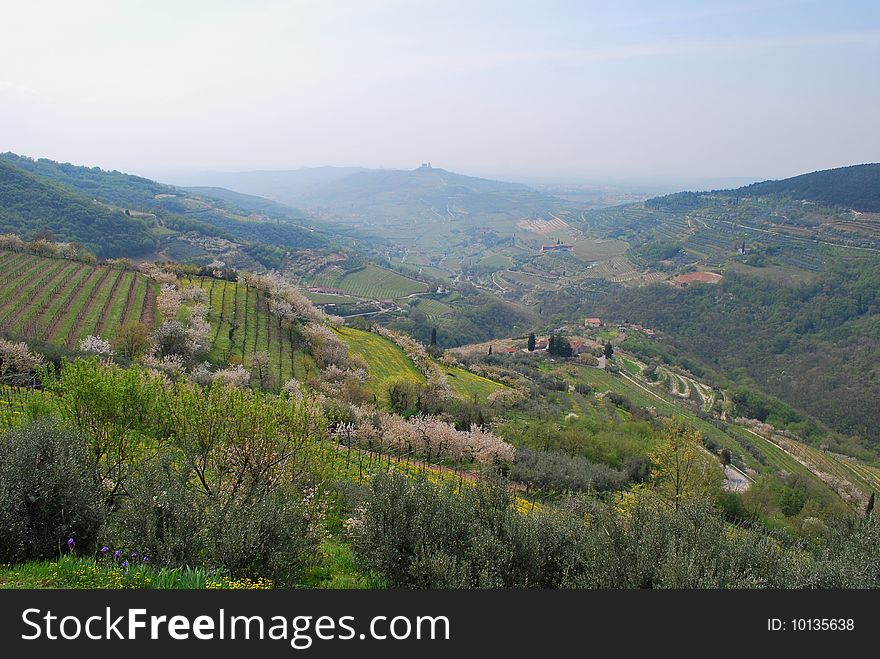 Italy. Hills near to Verona. Spring. Gardens blossom. Italy. Hills near to Verona. Spring. Gardens blossom.