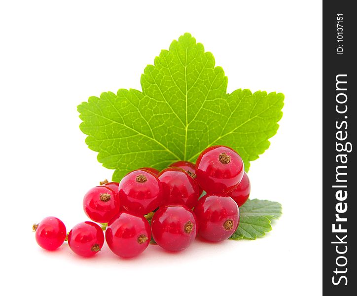 Red Currants On White