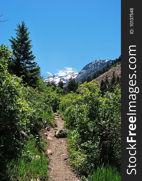 A mountain trail with snowy peaks in the background. A mountain trail with snowy peaks in the background.