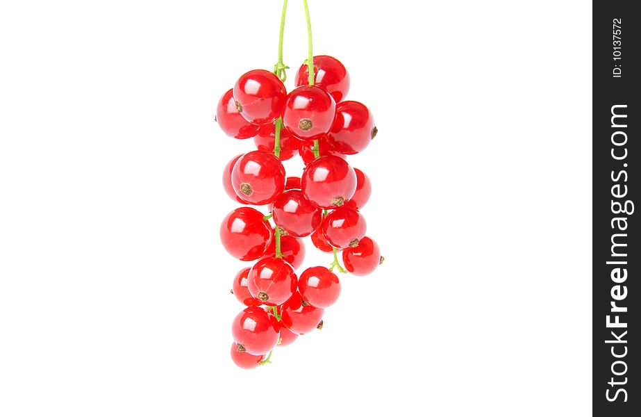 The bunch of red currant on white background