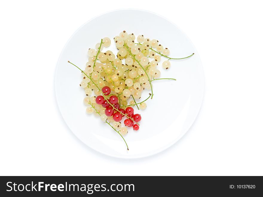Red and white currant on the plate