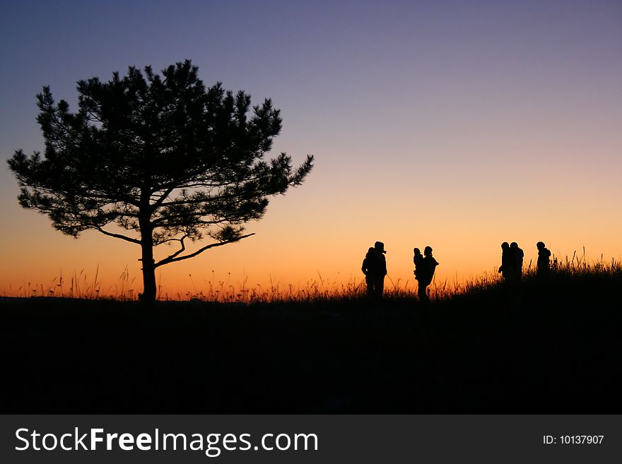 Silhouettes of people and tree in the sunset. Silhouettes of people and tree in the sunset