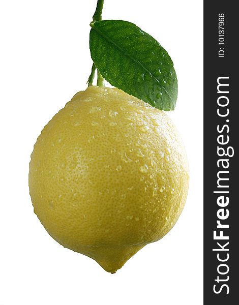 The fresh lemon with a leaf on white background