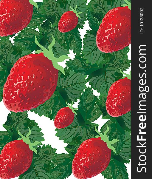 Vector background, and a ripe strawberry on green leaves