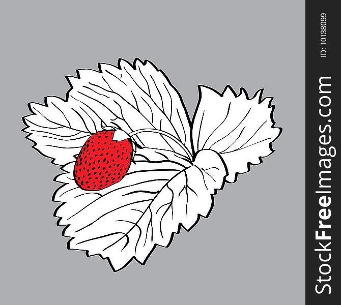 Drawing of the stylised strawberry