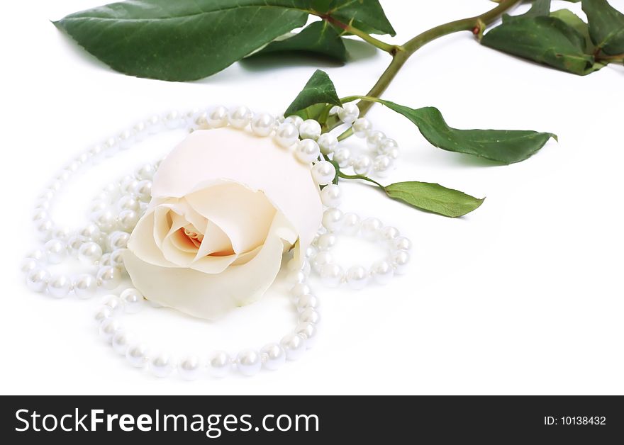 Romantic Background With Rose And Pearl