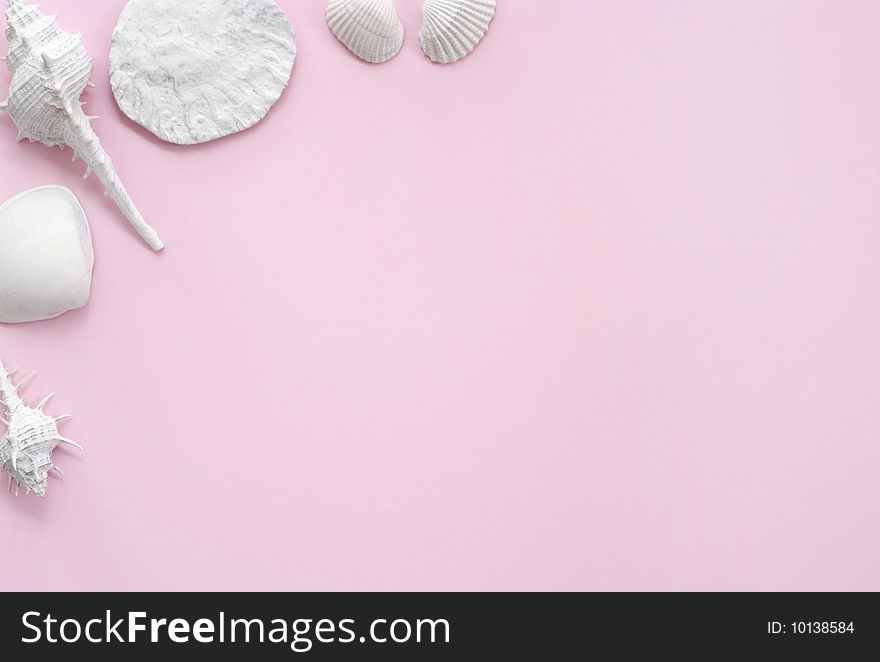 White seashells presented on a pink sheet of paper offering a framing format. White seashells presented on a pink sheet of paper offering a framing format