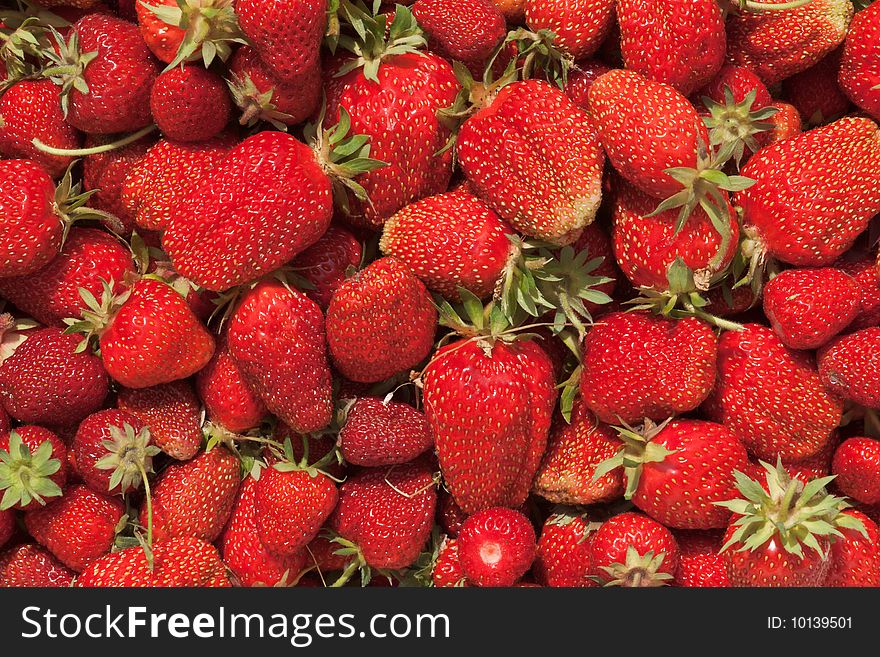 Freshly picked garden strawberries background