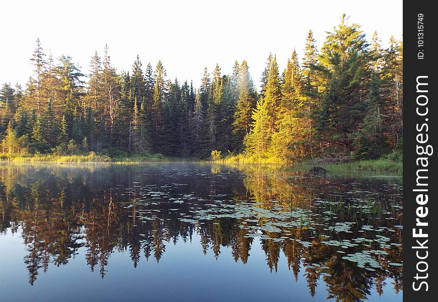 The lake was like glass in the mornings. The lake was like glass in the mornings.