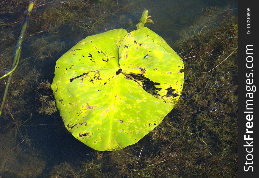 Lake Alma State Park