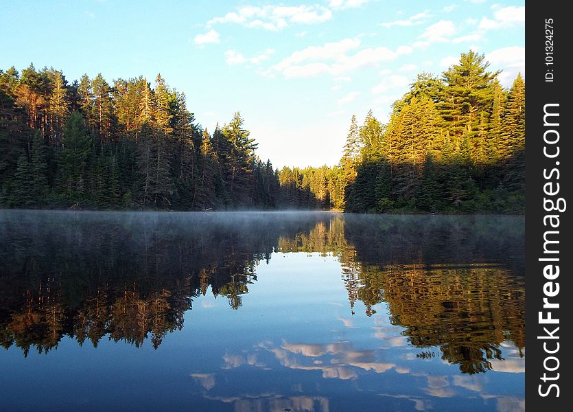 Last of the mist on a cool morning paddle around Pog Lake. Last of the mist on a cool morning paddle around Pog Lake.