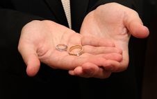 Groom Holds Wedding Rings Royalty Free Stock Photos