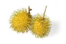 Yellow Rambutan Tropical Fruits Royalty Free Stock Photo Yellow Rambutan Tropical Fruits Royalty Free Stock Photo