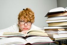 Young Lady Reading  Book Stock Image