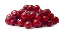 Red Garden-stuffs Stock Photography Red Garden-stuffs Stock Photography