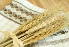Gold Wheat Harvest Stock Photos Gold Wheat Harvest Stock Photos