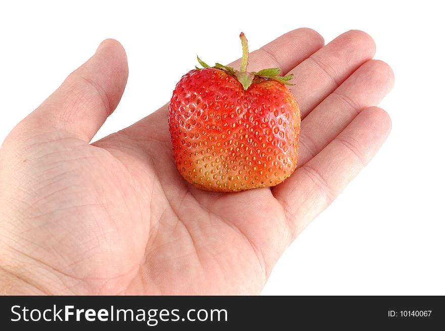 Red strawberry in a hand on a white background