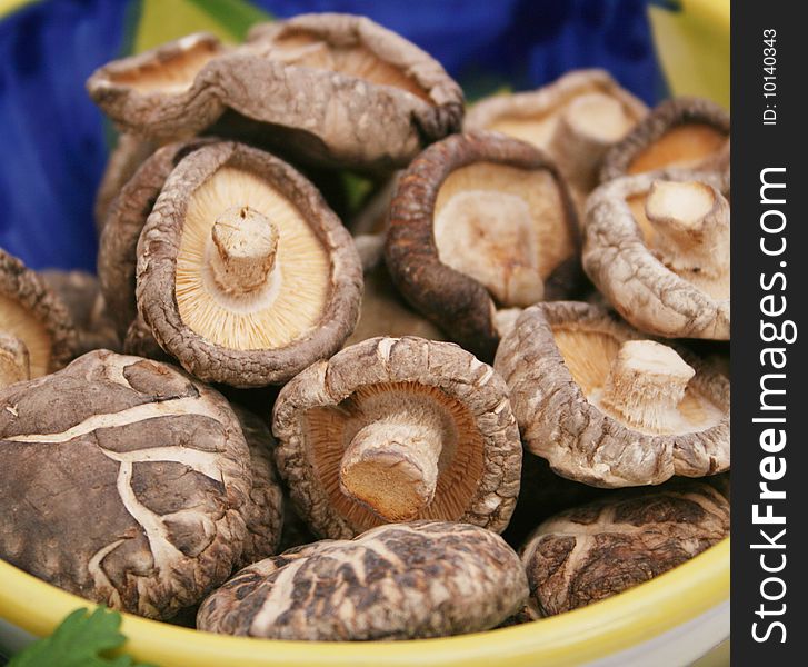 Some dry shiitake mushrooms in a bowl. Some dry shiitake mushrooms in a bowl