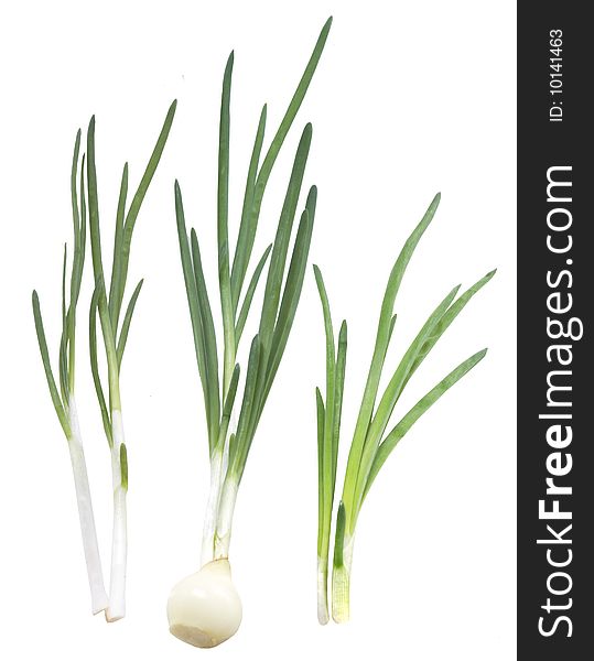 Spring onions on white background