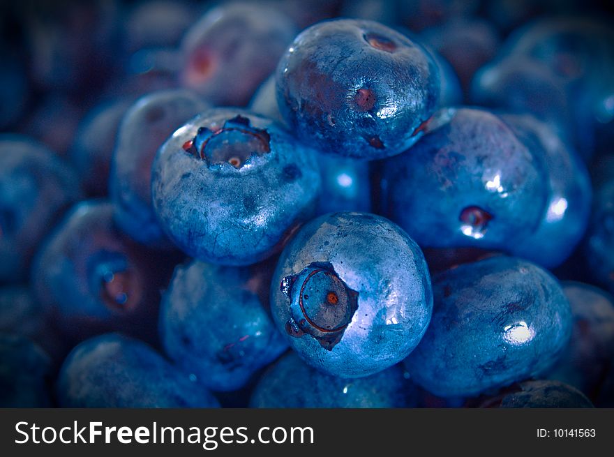 A Pile of Purple Blueberries