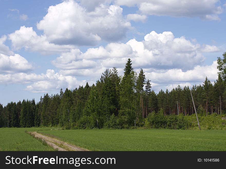 Finnish countryside on a sunny day.