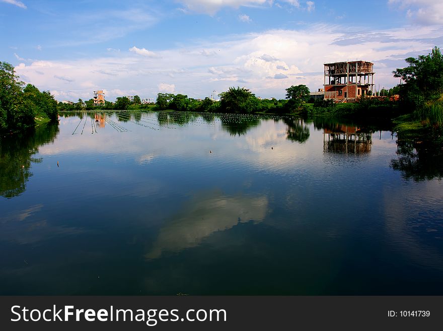 Landscape Of The Country