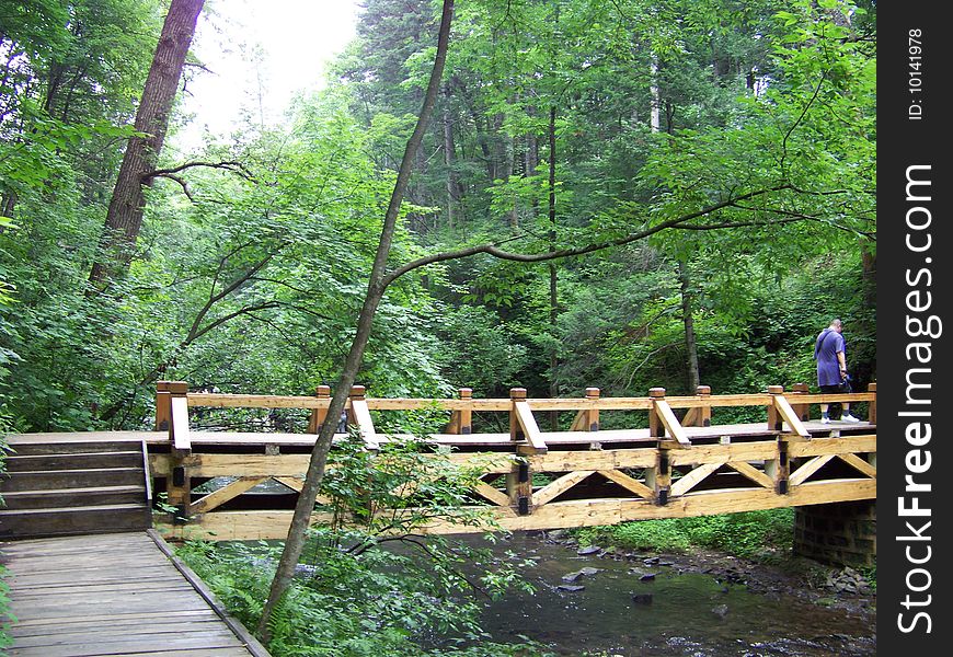 Wood bridge clear creek forest longwan park