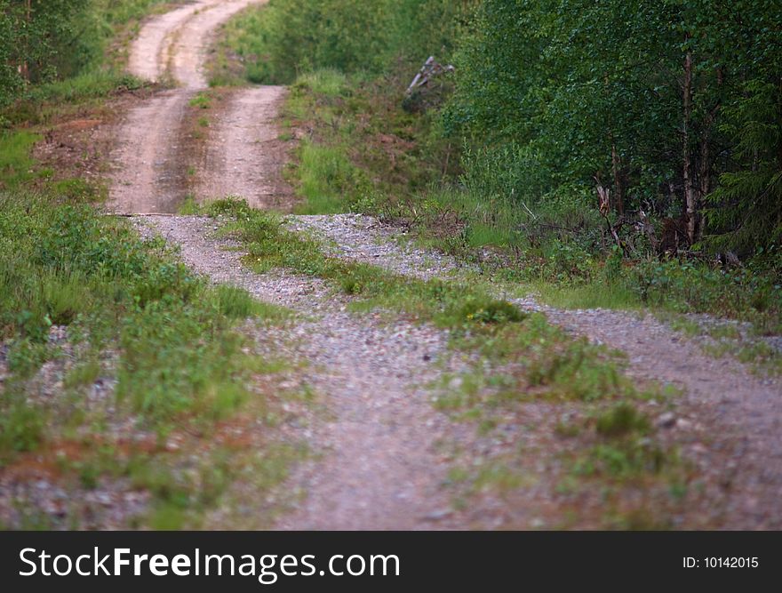 Dirt road winding through a forset