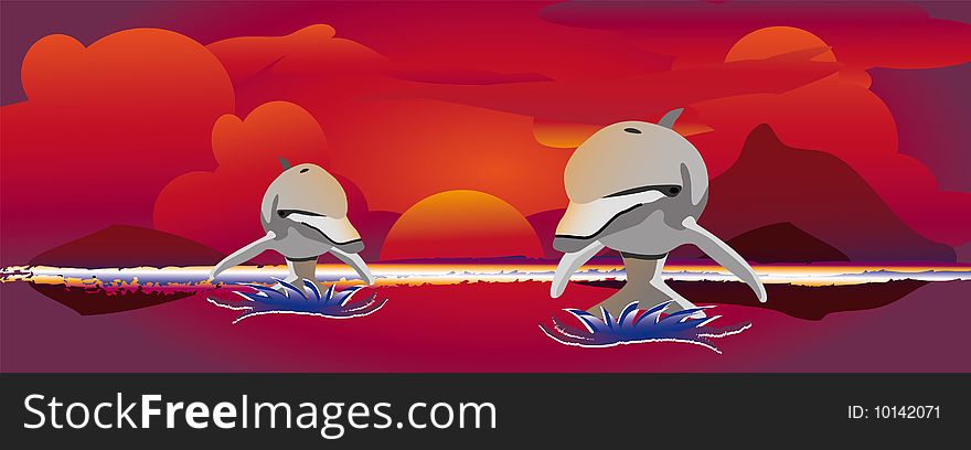 Sunset jumping dolphins