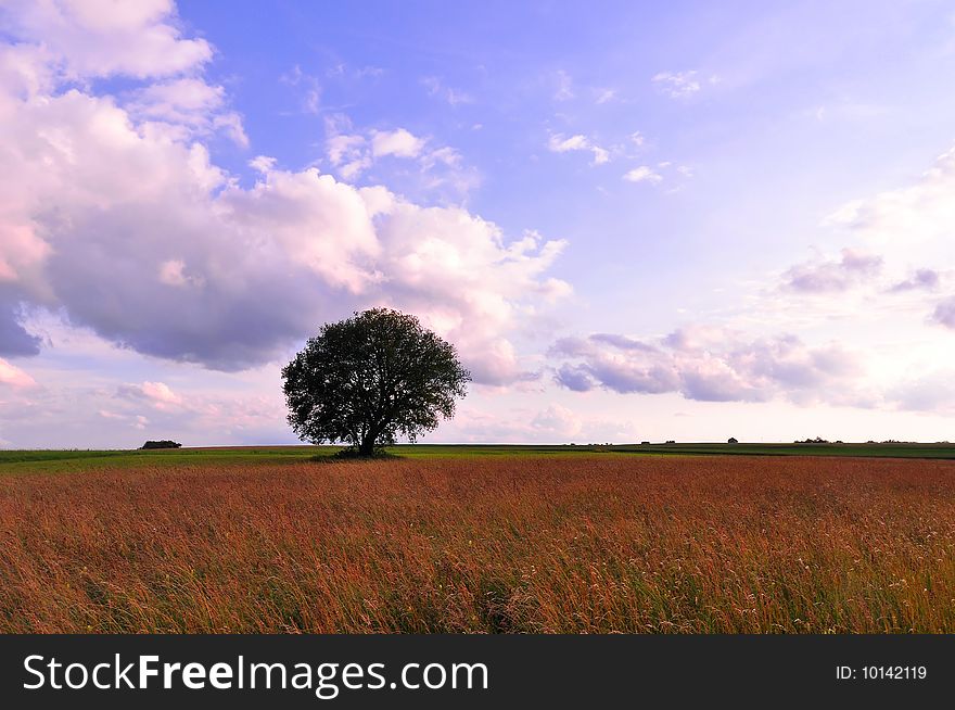 A field on the heights of the swabian alb in late summer evening, Baden-Wuerttemberg, Germany. A field on the heights of the swabian alb in late summer evening, Baden-Wuerttemberg, Germany