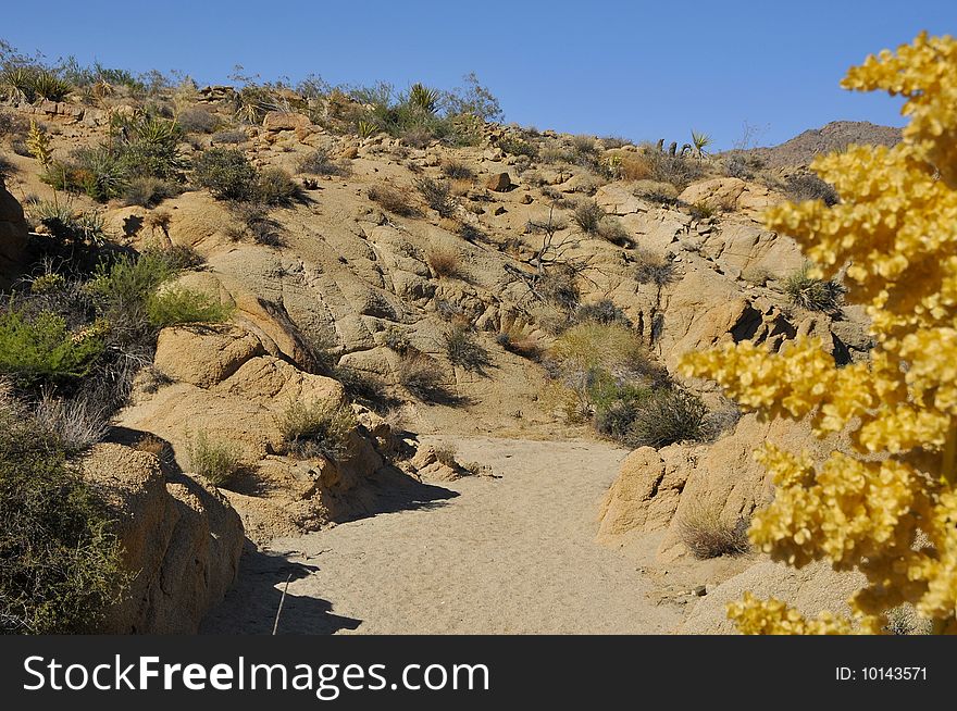 Desert River Bed at National Park