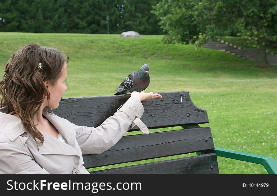 The nice girl feeds wild pigeons from a hand
