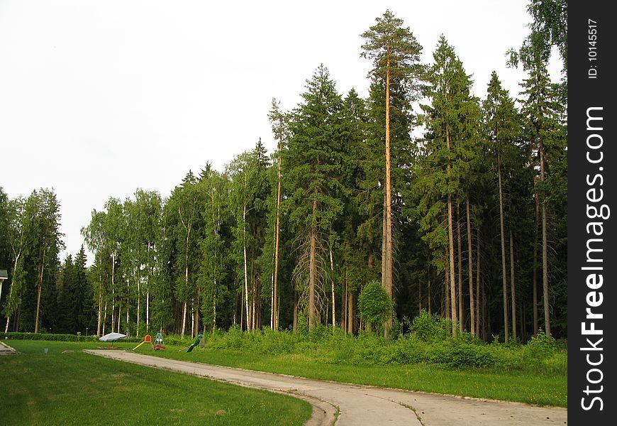 Timber Park In Suburb Moscow