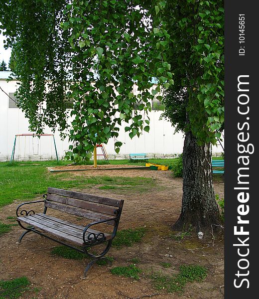 A view of a small bench and evergreen tree in a park.