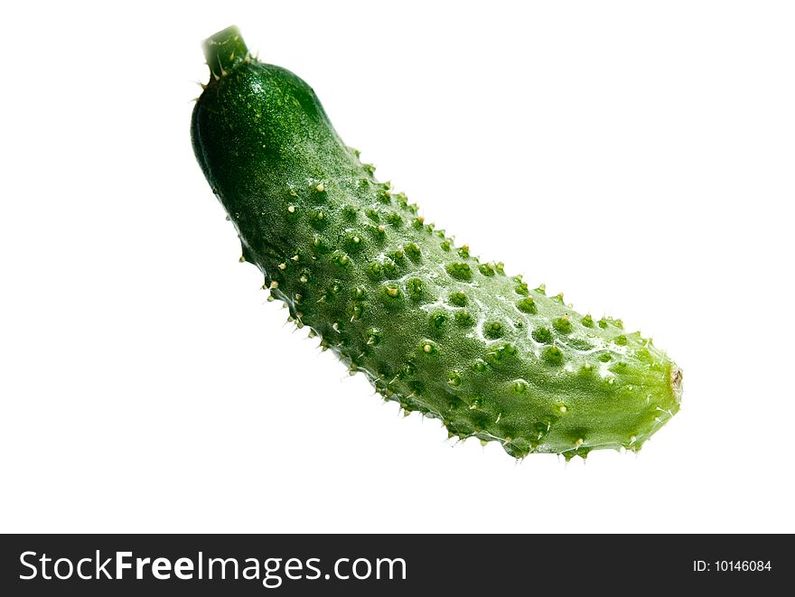 Fresh green cucumber on a white background