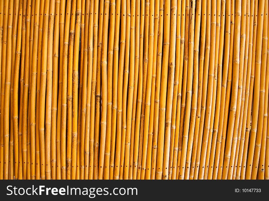 Colorfull tropical bamboo, fence of country house in Thailand. Colorfull tropical bamboo, fence of country house in Thailand