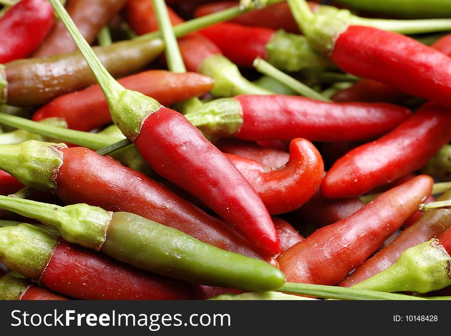 Small and red hot birdeye chili padi close up. Small and red hot birdeye chili padi close up