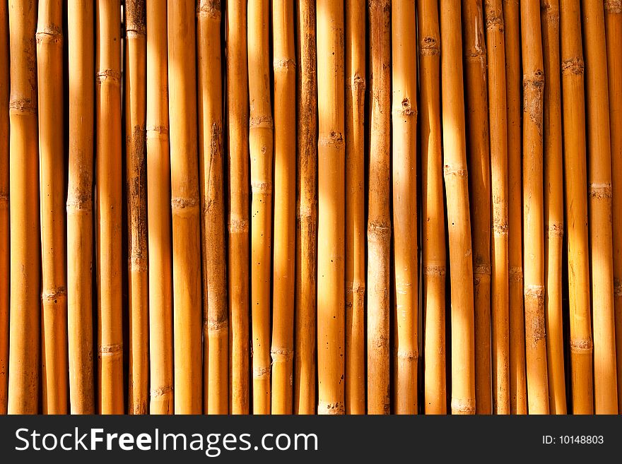 Tropical bamboo fence